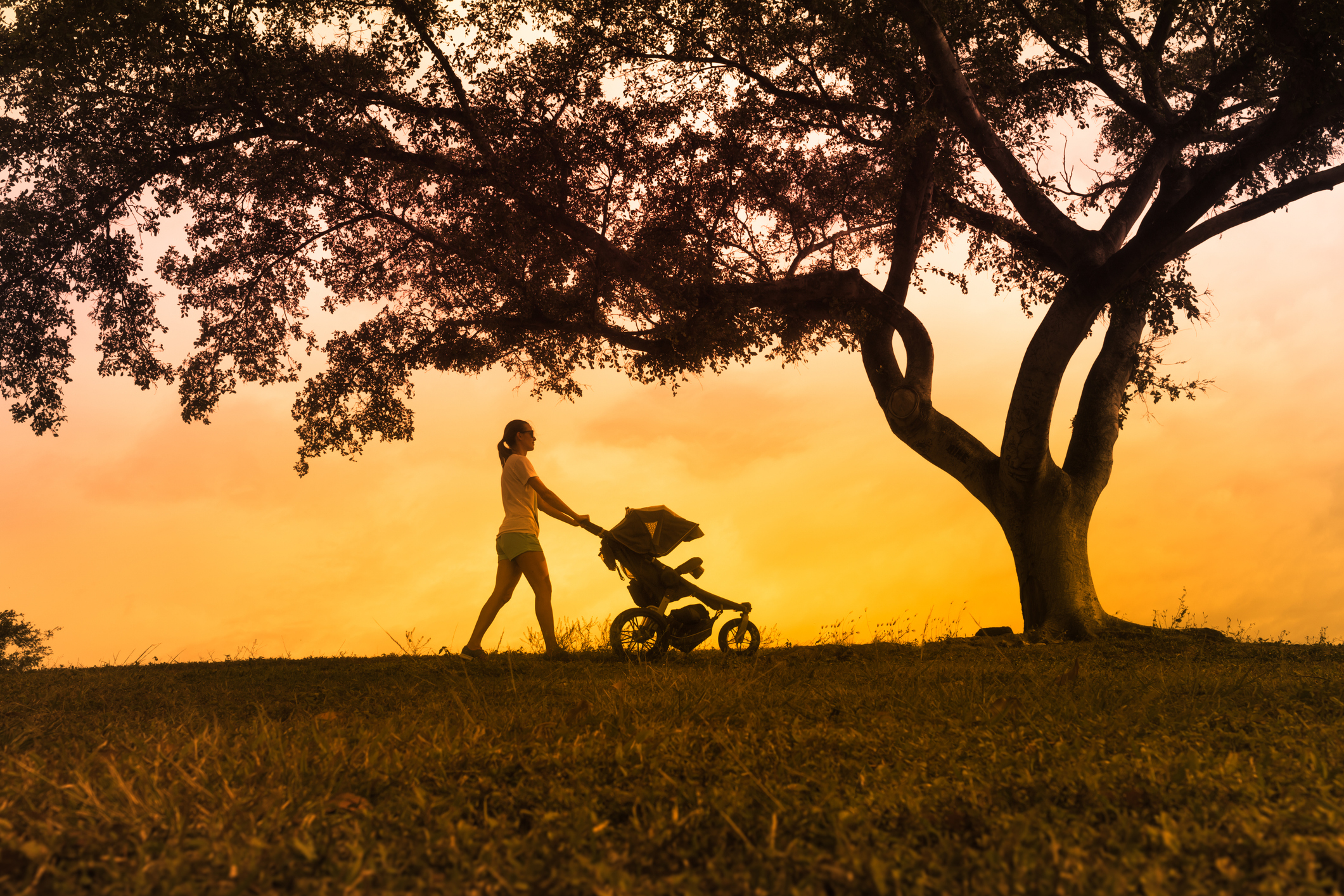 Silhouette of mother walking her baby in the park.