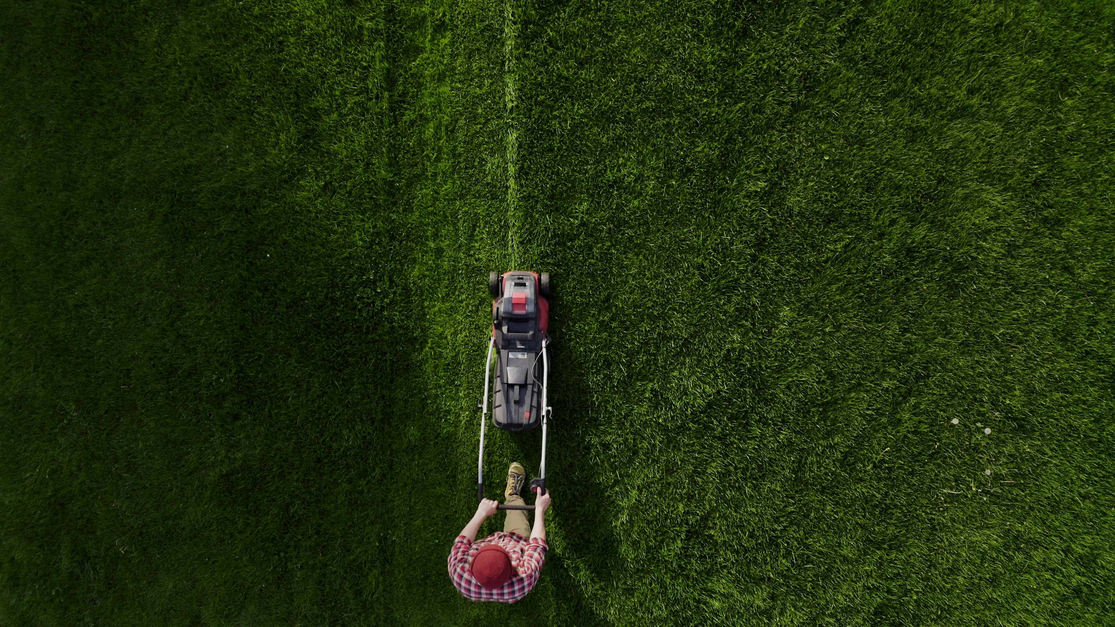 The Best Electric Lawnmowers to Make Yard Work Easier This Spring