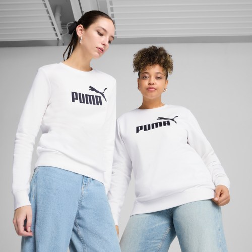 PUMA Essentials No. 1 Logo Womens Hoodie in Grey, Size S