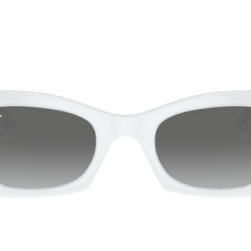 Ray-Ban Unisex White Snow