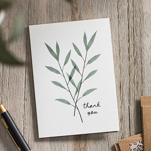 Eucalyptus Thank You Cards, Set of 24