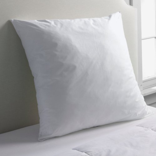Euro Pillow Insert – Lands End – White