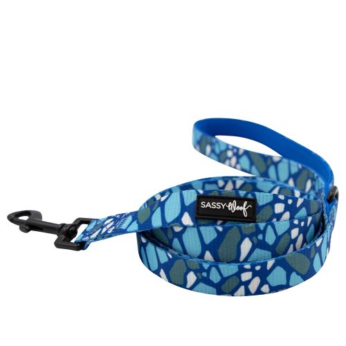 Sassy Woof Dog Leash: 5-Ft Long, Size: 5 ft | Neoprene PetSmart