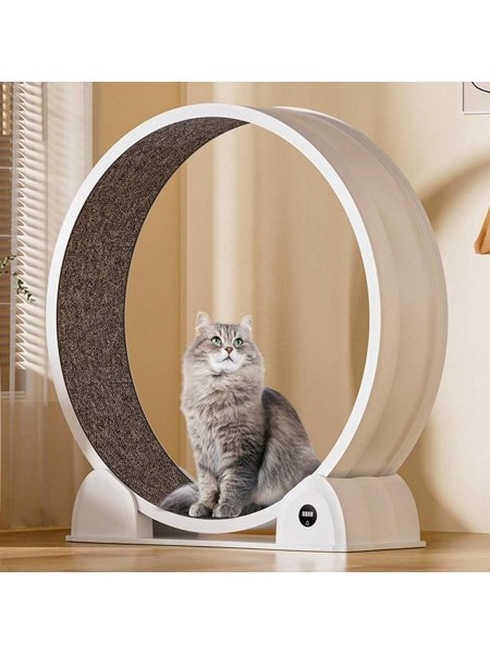 Garvee Cat Exercise Wheel 45 Inch Quiet Cats Treadmill With Pedometer Running Wheel With Detachable Carpeted Runway For Most Pets Weight Loss And