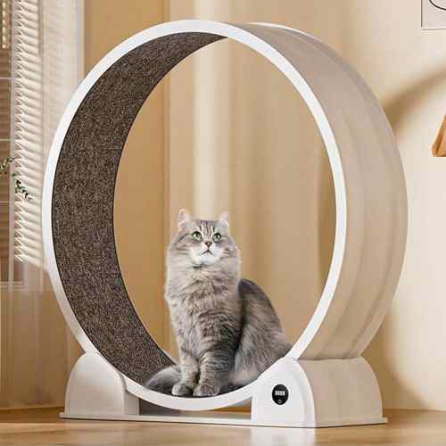 Garvee Cat Exercise Wheel 45 Inch Quiet Cats Treadmill With Pedometer Running Wheel With Detachable Carpeted Runway For Most Pets Weight Loss And