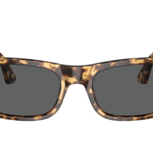 Persol Unisex Tortoise