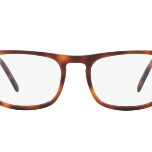 Saint Laurent Tortoise
