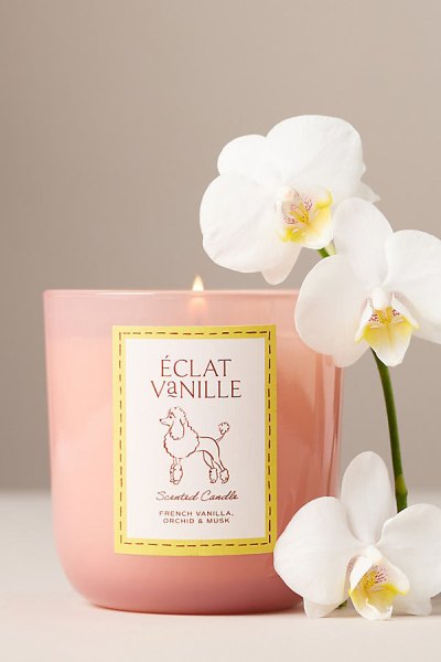 Papier x Anthropologie Gourmand clat Vanille Poodle Glass Candle