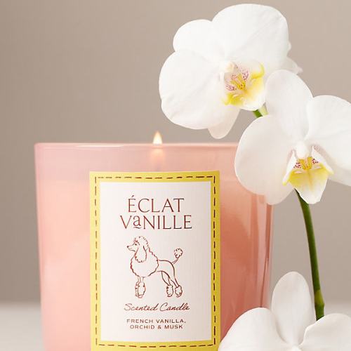 Papier x Anthropologie Gourmand clat Vanille Poodle Glass Candle