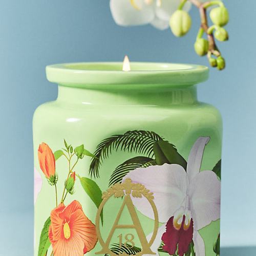 Apothecary 18 Floral Orchid & Amber Glass Reed Diffuser
