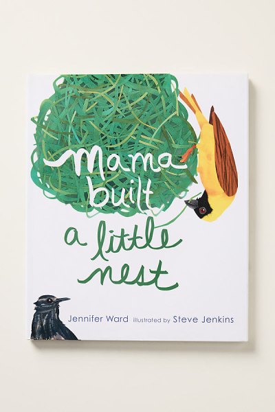 Mama Built a Little Nest Kids Book