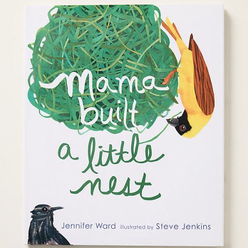 Mama Built a Little Nest Kids Book