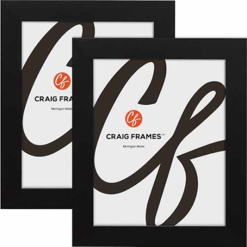 2 ct Craig Frames Bauhaus 125 Barnwood Gray Picture Frame | x | Michaels
