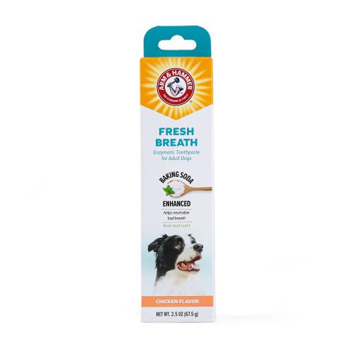 Arm & Hammer Dog Fresh Breath Enzymatic Toothpase, Neutralize Bad – Chicken Flavor, 2.5 oz in Mint | PetSmart