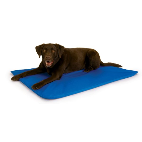 K&h Cool Bed Iii Dog in Blue, Size: 44l X 32w 0.5h | Nylon PetSmart