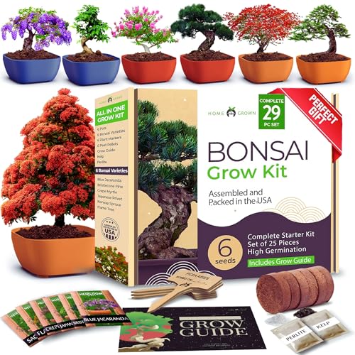 Bonsai Tree Kit – 6 Heirloom Varieties with Pots