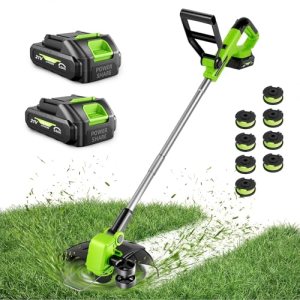 21V Weed Wacker Cordless & Lawn Edge