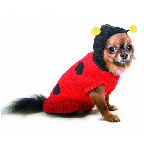 Hip Doggie Lady Bug Dog Sweater in Red, Size: Large | PetSmart