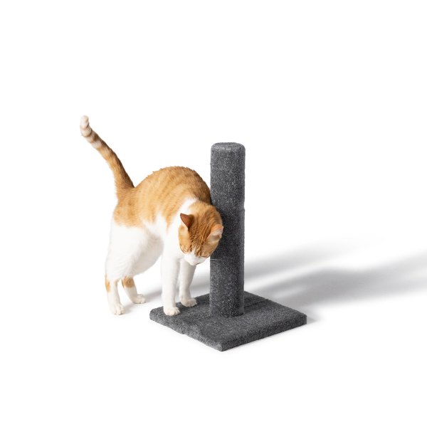 Whisker City 19-In Carpet Scratching Post | PetSmart