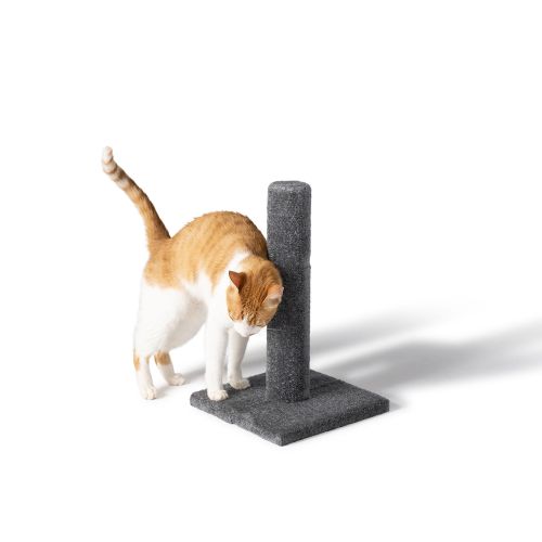 Whisker City 19-In Gray Carpet Cat Scratching Post in Grey | PetSmart
