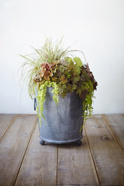 Galvanized Ring Handle Planter, 24