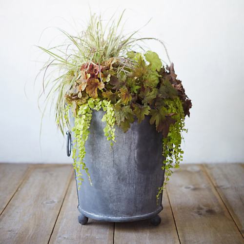 Galvanized Ring Handle Planter, 24