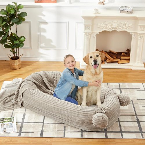 GAOMON Human sized dog bed 72 by 44 inch with blanket handle and 2 storage pockets removable washable cover high density foam black one_size