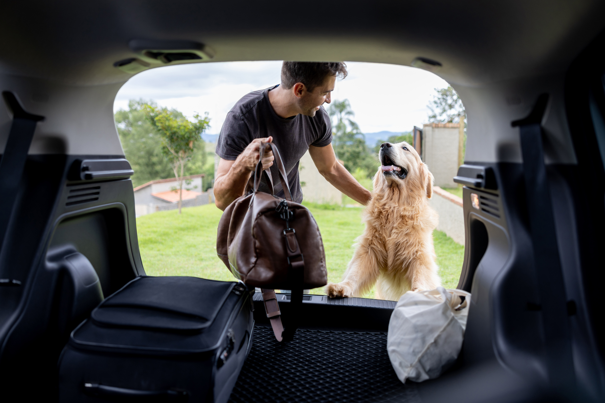 Pet Travel Gear and Beds