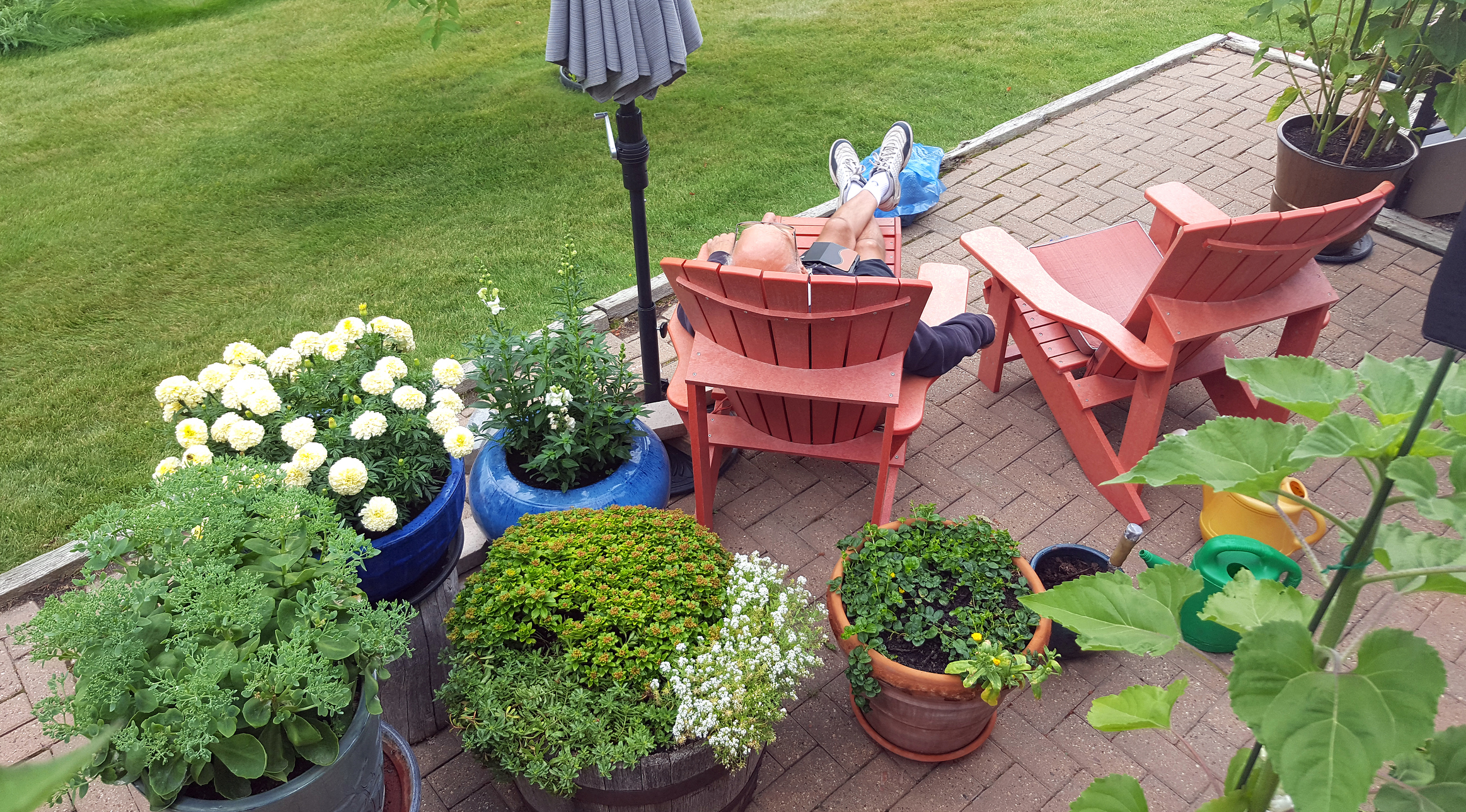 Back patio . Garden with pots of flowers and two red Adirondack chairs. Male senior relaxing in chair. Back view.