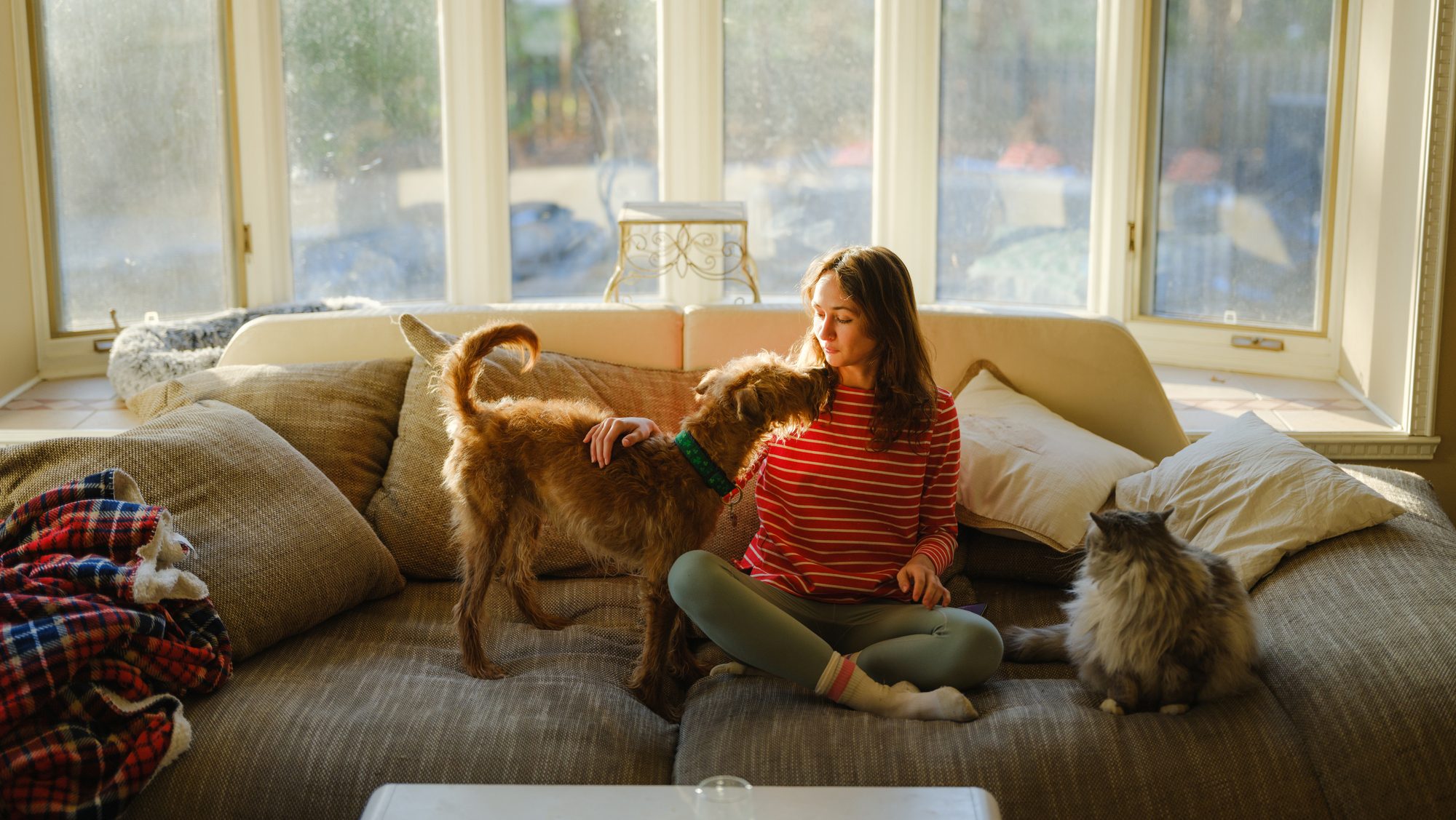 Cheerful woman cuddling with dog and cat on the sofa on sunny afternoon