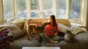Cheerful woman cuddling with dog and cat on the sofa on sunny afternoon