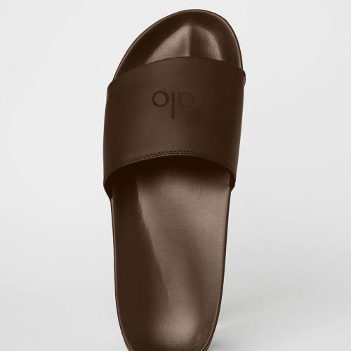 ALO | It Slide in Espresso Brown