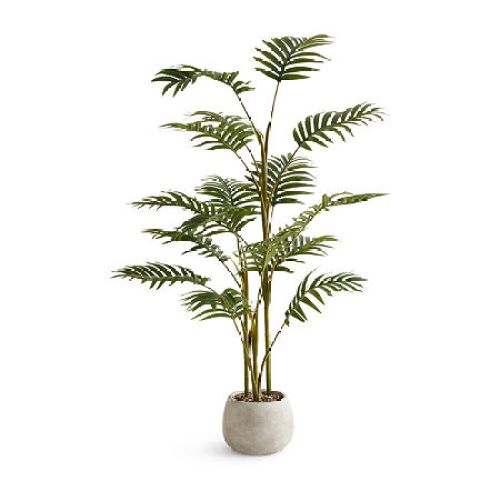 Linden Street 48in Tropical Palm Indoor Artificial Tree, One Size, Green