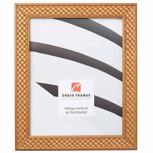 Craig Frames Lenox Antique Gold Picture Frame | x | Michaels