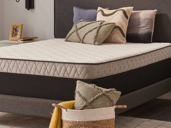 Sealy Mattress | Firm | Spruce 5.5