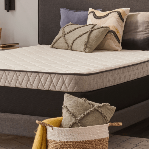 Sealy Mattress | Firm | Essentials Spruce 5.5
