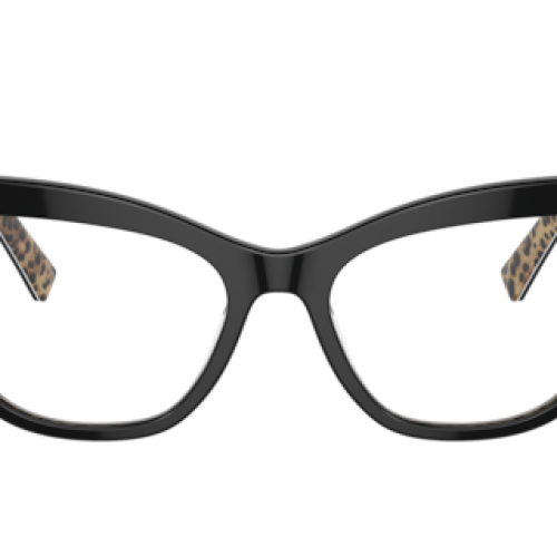 Dolce&Gabbana Woman Leo Brown On Black
