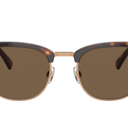 Polo Ralph Lauren Man Shiny Brown Tortoise