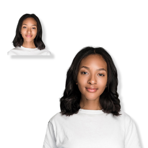 Locks Mane 12 Clip-In Human Hair Extension