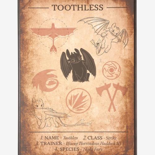 DreamWorks How to Train Your Dragon Toothless Schematic Wall Art