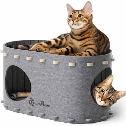 Cat Bed Cave for Multiple & Large Indoor Cats Up to 22 Lbs