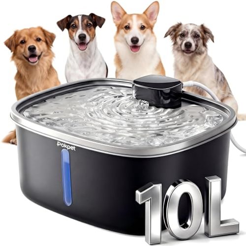 Dog Water Fountain Stainless Steel 2.64GAL