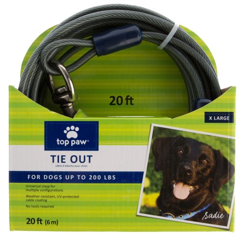 Top Paw Dog Tie Out in Size: 40 ft | PetSmart