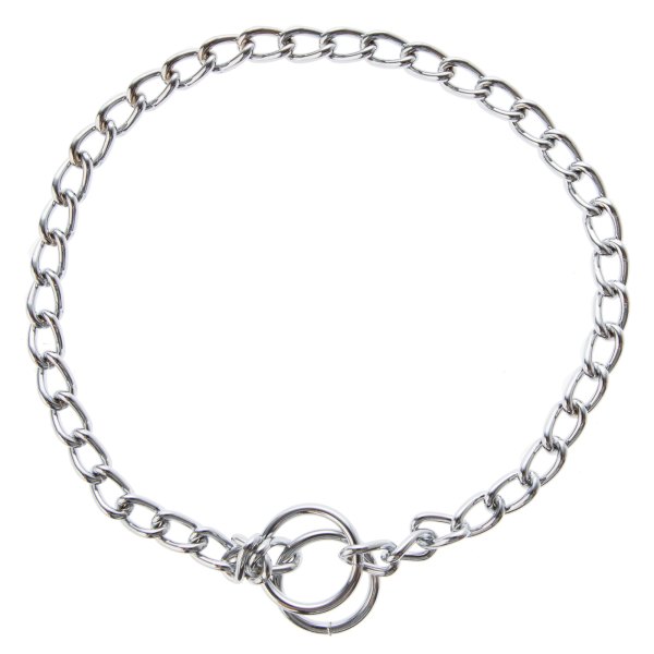 Top Paw Basic Chain Dog Collar in Chrome, Size: 16 | PetSmart