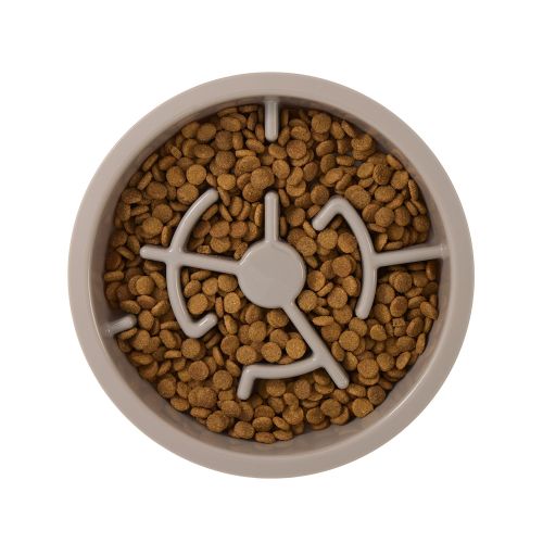 Top Paw Dog Bowl, Size: Cup | PetSmart