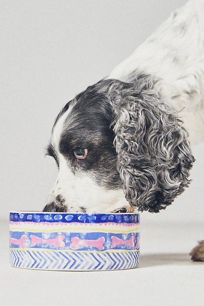 Marina Pet Bowl