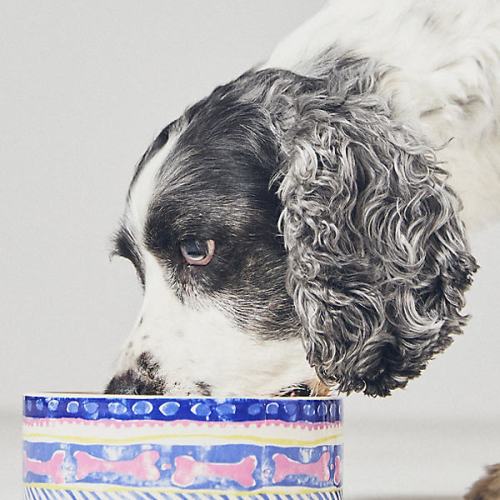 Marina Pet Bowl