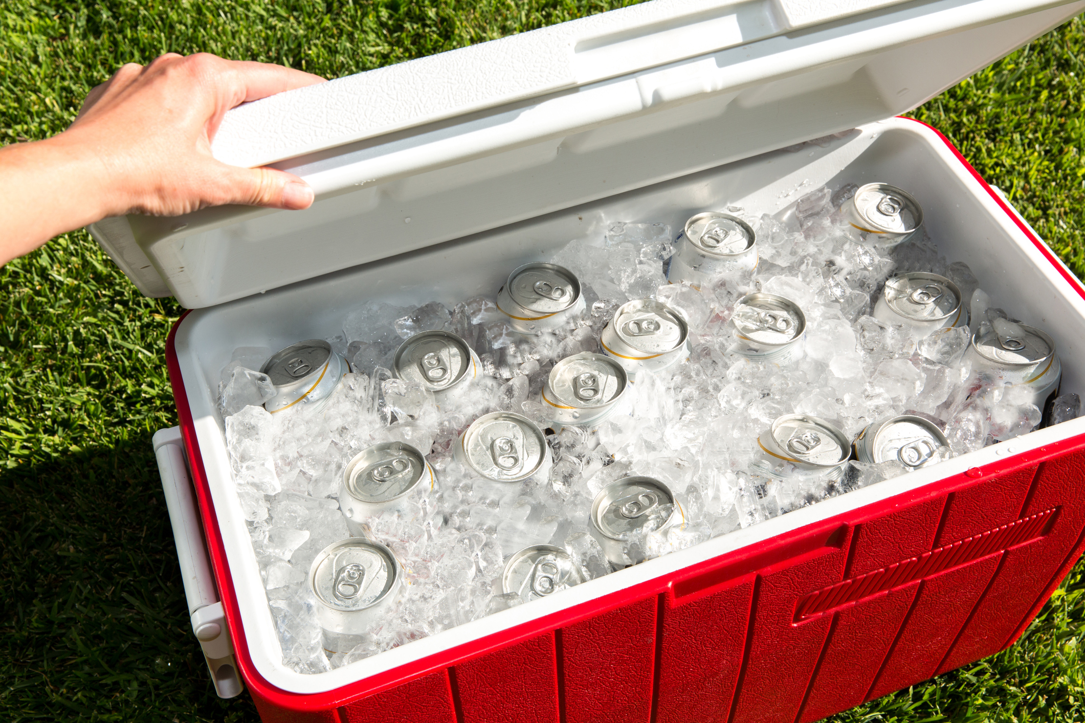 A hand is opening the white lid of a red cooler that is filled with cans of beer and ice. In the background is green lawn. Overall colors of bright red and bright green.