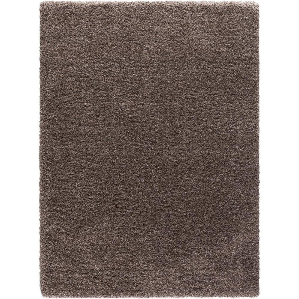 3 ft. x 5 ft. Area Rug