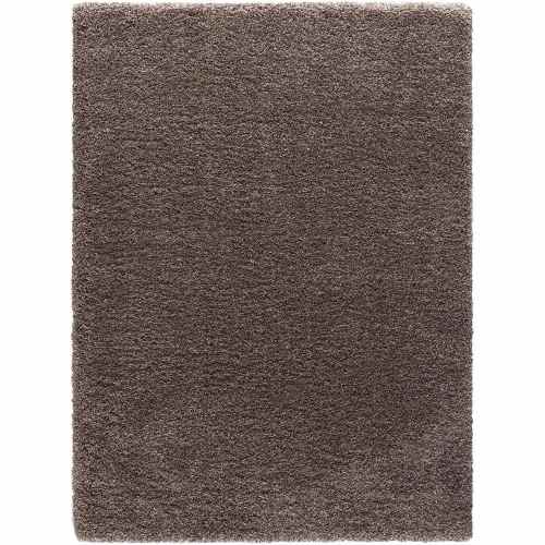 2 ft. x 3 ft. Area Rug